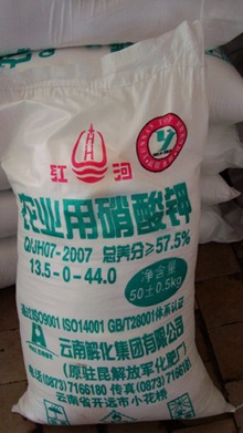 东升国际官网-钻营健全,你我一路成长