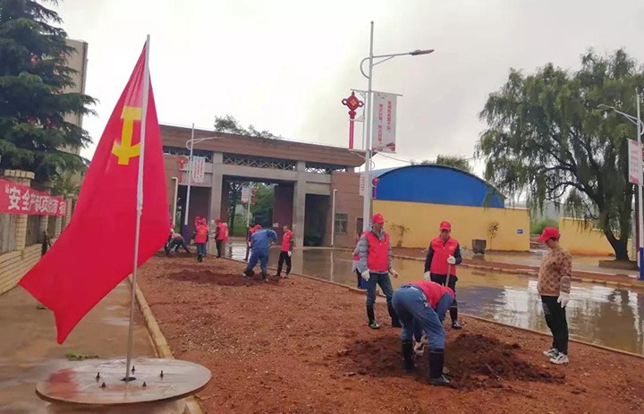 陆东煤矿党委发展“我为人民办实事”使命植树活动