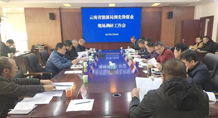 云南省能源局党组成员、副局长张春红一行到前锋煤业公司调研领导
