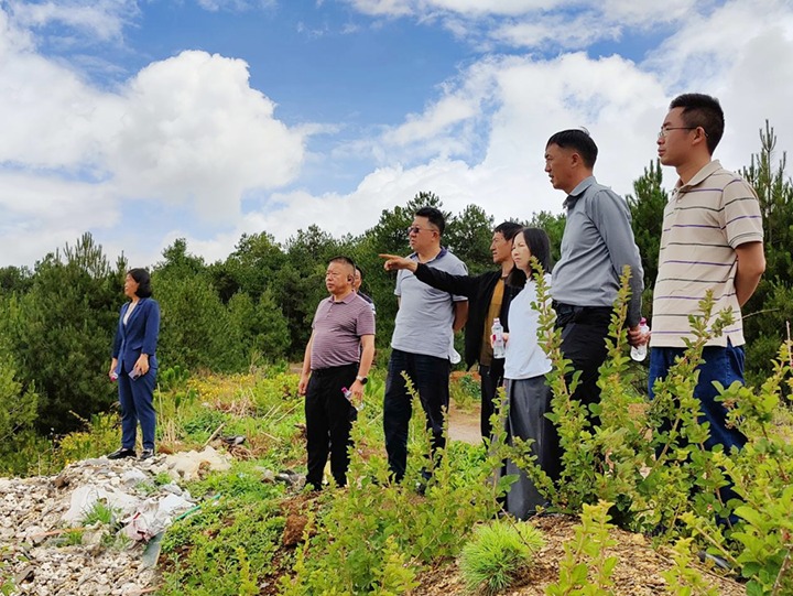 【主题教育】云煤（东升国际官网）集团专职表部董事寸延峰，集团党委委员、财政总监莫晓丹到马厂煤矿、汉家厂煤矿、竹麻地煤矿发展主题教育调研