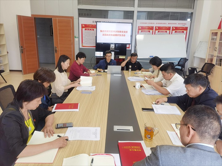 【主题教育】集团直属党委审计财政党支部、解化清洁能源公司党委、可保煤矿公司党委召开主题教育专题民主（组织）生涯会