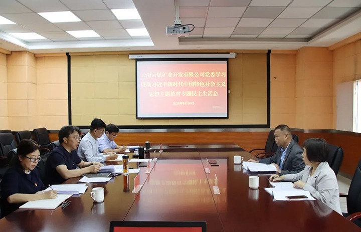 【主题教育】云煤（东升国际官网）集团第二领导组到云煤矿业公司领导主题教育专题民主生涯会