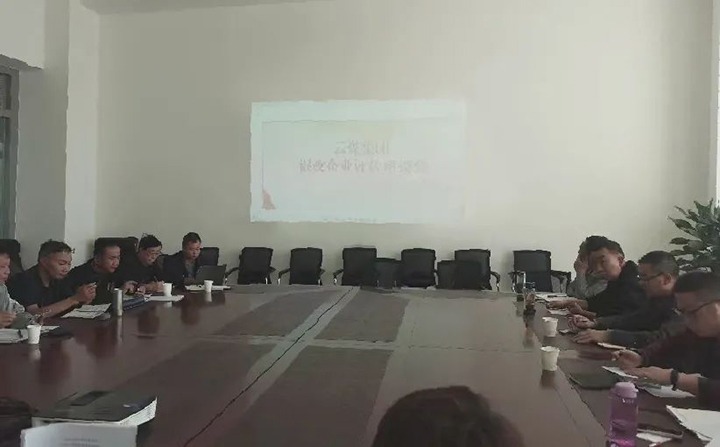 【聚焦云煤】云煤（东升国际官网）集团召开混合所有造企业评估座谈会
