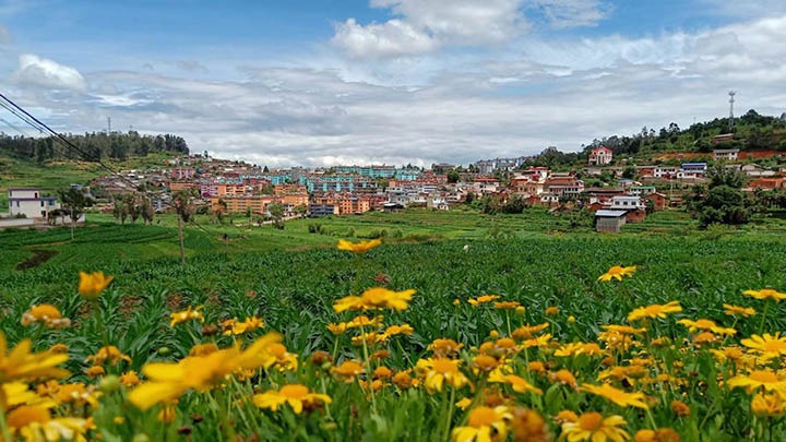 【云煤岁月】笃行不辍谋发展，砥砺奋进谱新篇——平煤故事（一）