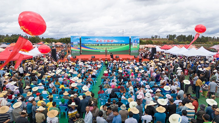 云南解化｜“快递幼哥”的三农情怀，温暖民气促发展