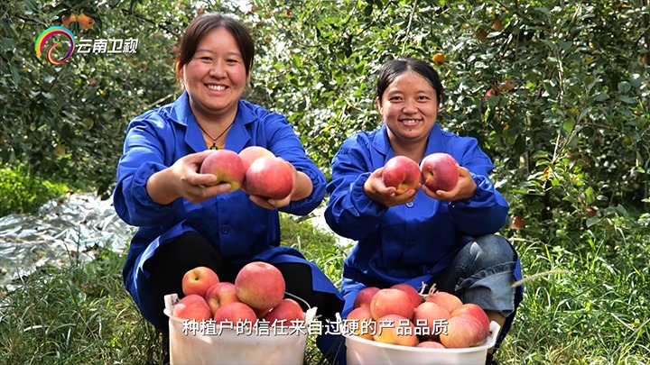 《云南卫视》播报：云煤集团解化好肥助力“三农”发展，共绘村落振兴“幸；怼