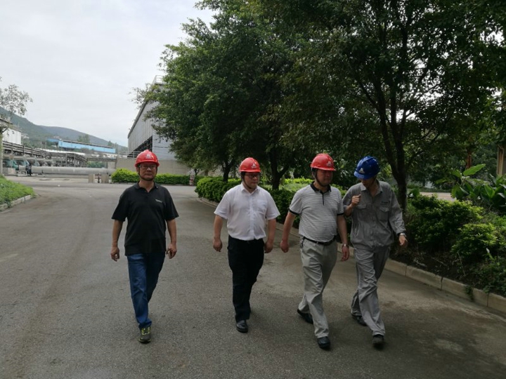 东升国际官网-钻营健全,你我一路成长